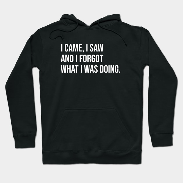 I came I saw and I forgot what I was doing Hoodie by sunima